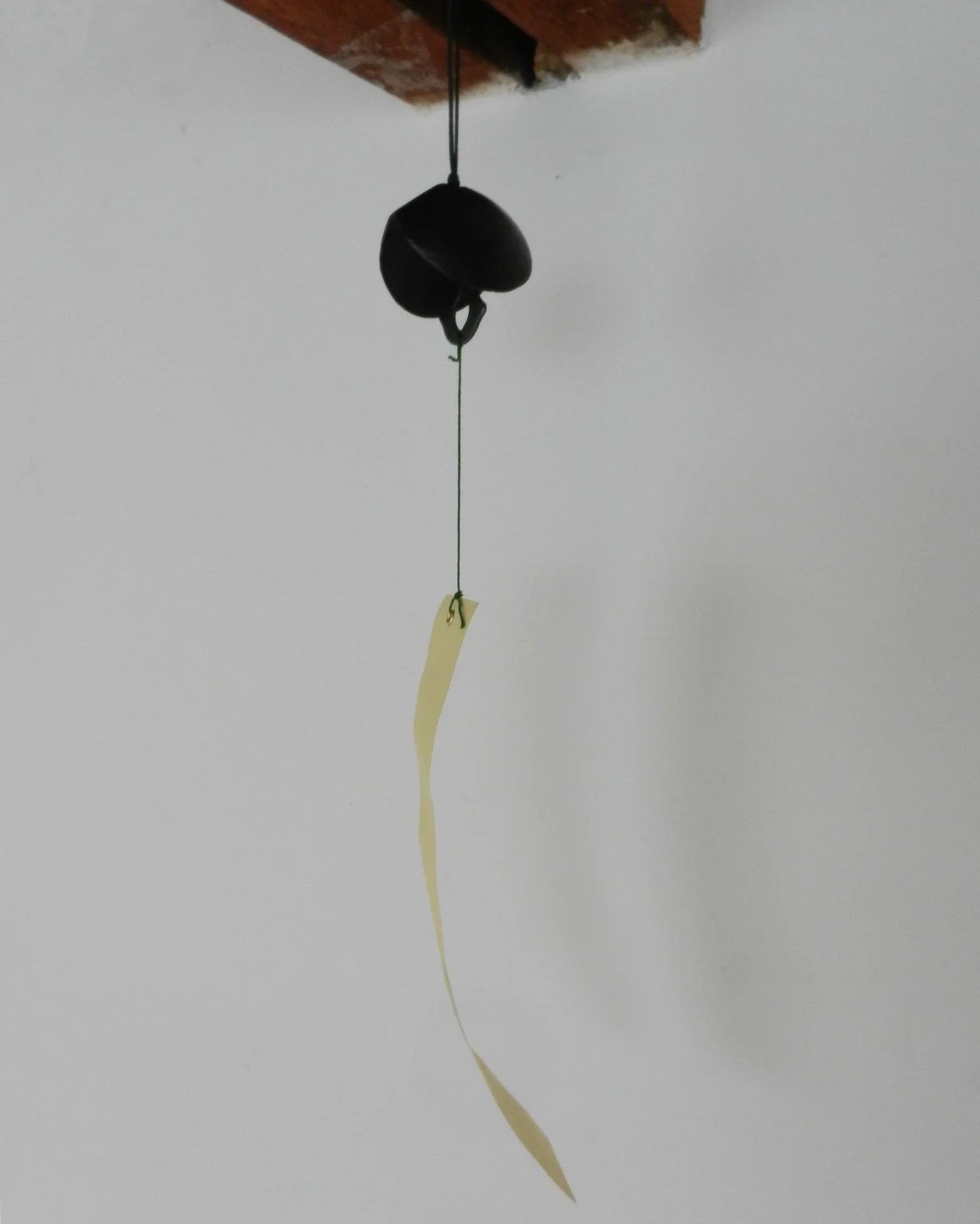 Clam Wind Chime