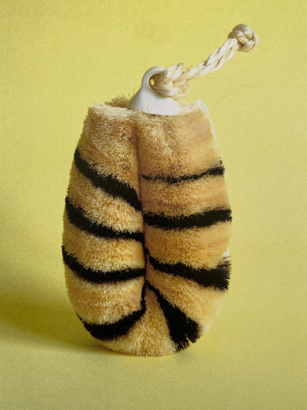Body Brush