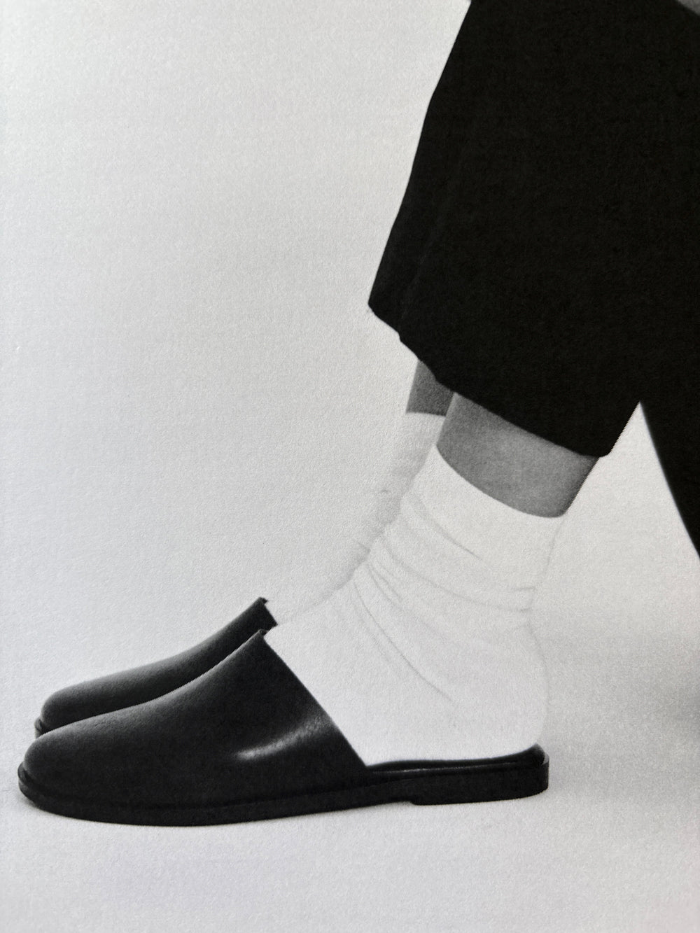 fig. 1: The Slipper
