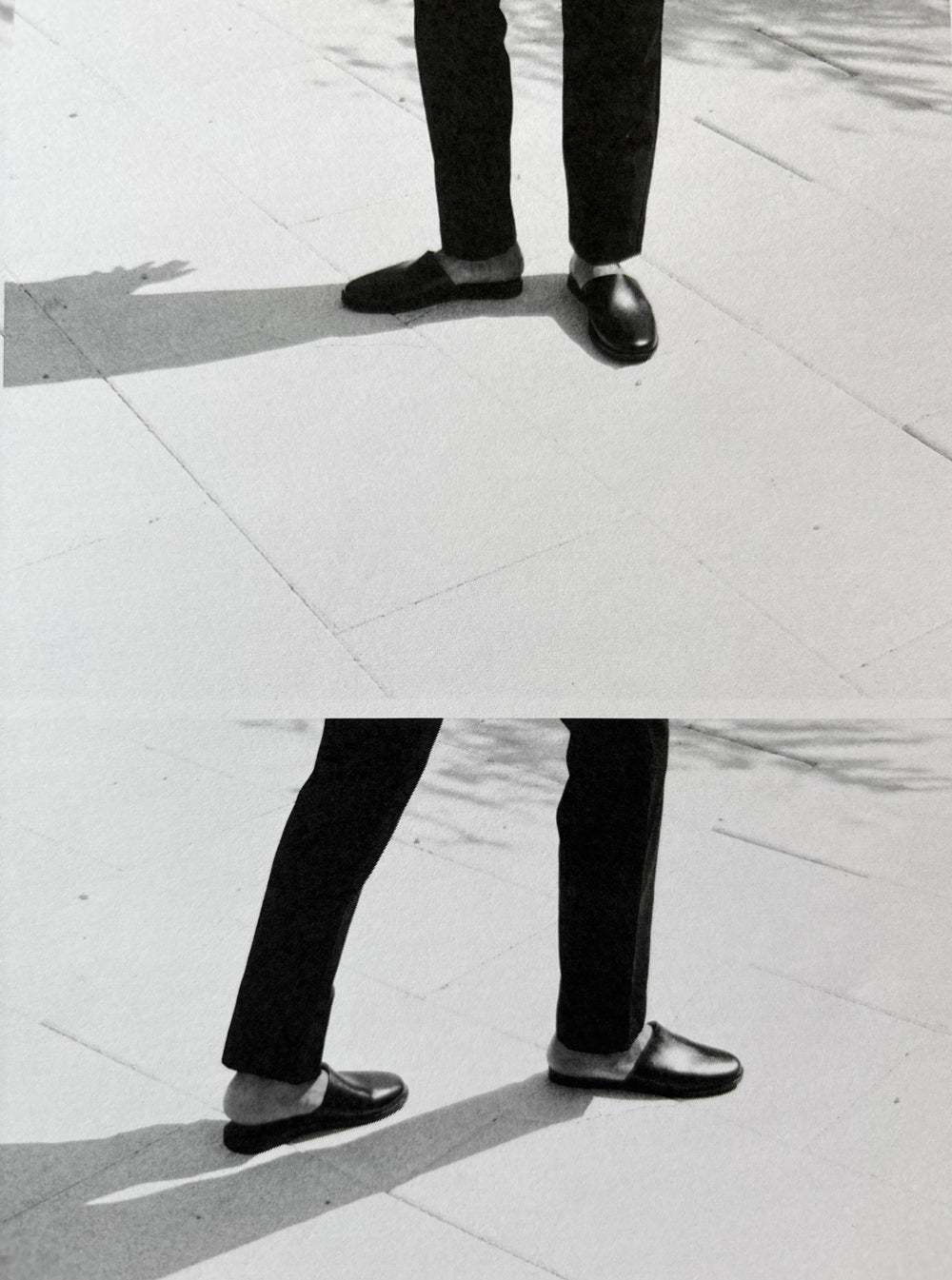 fig. 1: The Slipper