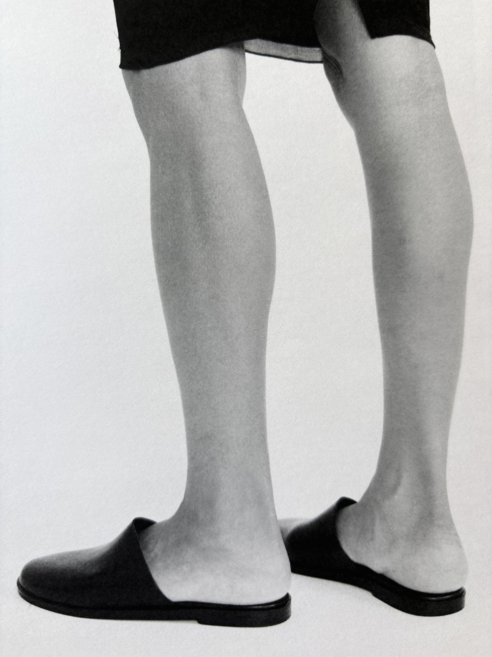 fig. 1: The Slipper