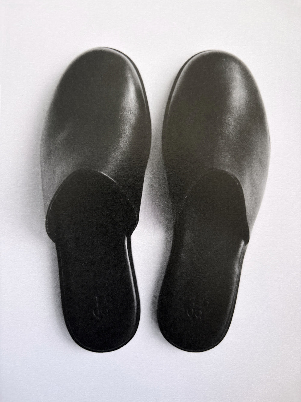 fig. 1: The Slipper